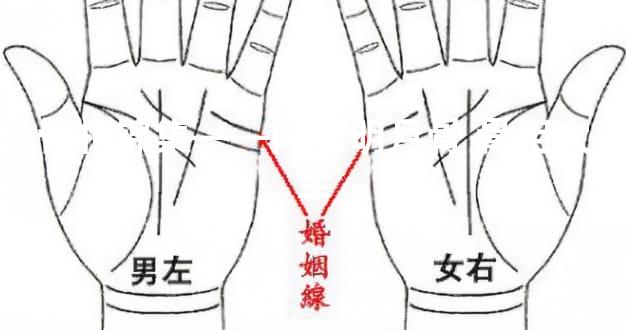 骨相锦集——两弦明月骨 骨相大全